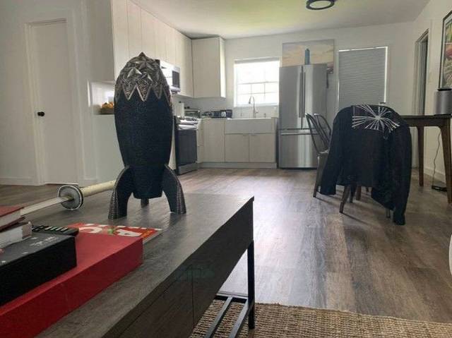 머스크 자택 내부. 디마 제뉴크 X 캡처