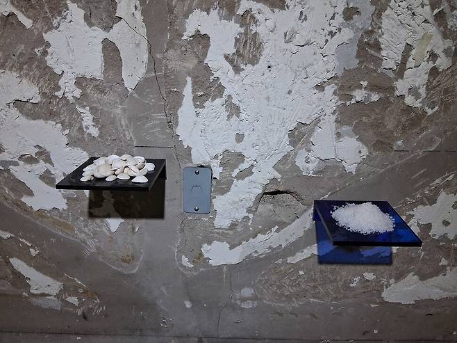 실험공간 유즈 전시장 안쪽의 오브제 작품들. 페인트칠이 벗겨진 콘크리트 벽면에 두개의 작은 선반을 부착하고 꼬막 껍데기들과 천일염 소금 가루를 각각 부려놓았다. 생명이 사멸한 흔적과 생명을 부지하는 존재를 대표하는 두 오브제는 전시장 바닥을 가득 뒤덮으며 시간의 물질성을 드러낸 꼬막 껍데기들의 압도적인 풍경과 대비를 이루고 있다. 노형석 기자