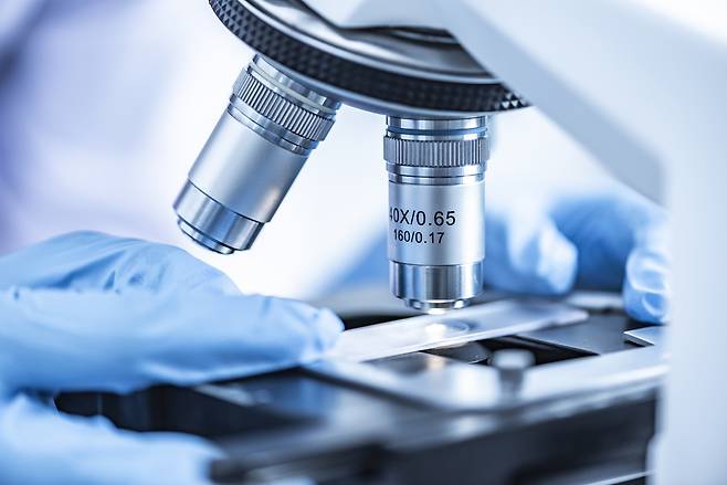 기사 이해를 돕기 위한 사진. 클립아트코리아