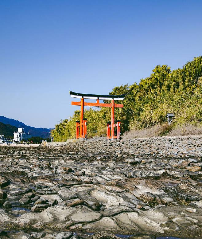 아오시마신사 도리이