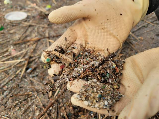 의암호 가장자리에 떠다니고 있는 플라스틱 조각과 스티로폼. 형형색색의 플라스틱이 잘게 쪼개져 물에 부유하고 있었다. 멀리서는 잔가지 정도로 보였지만, 가까이 다가가니 온통 플라스틱 조각 천지였다. 이설화 기자