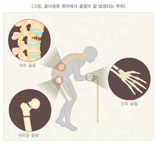 대한골대사학회
