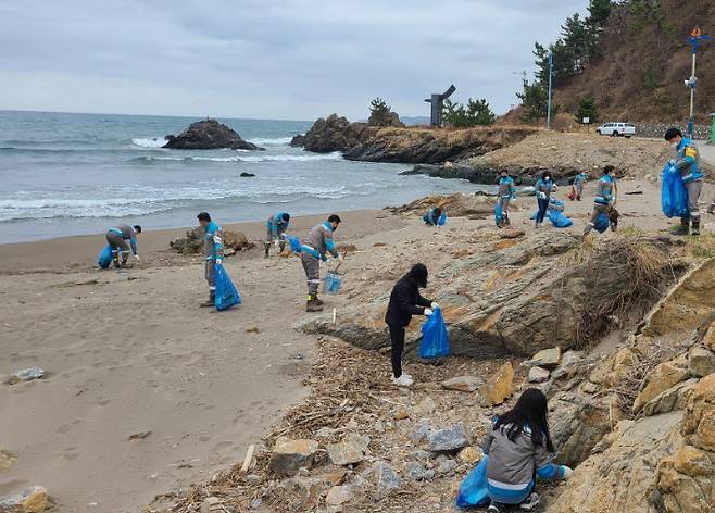 하천가꾸기. 삼척시 제공
