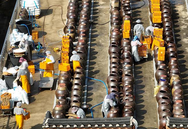 19일 오전 지역의 대표적인 전통 장류 제조업체인 죽장연 직원들이 장을 담그고 있다. /이용선기자 photokid@kbmaeil.com