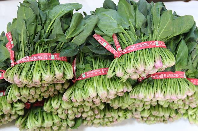 ▲ 포항 시금치 '포항초'.