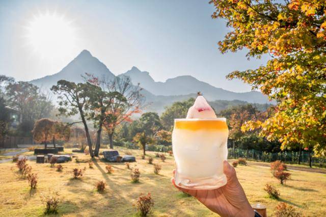 2023년 2월 개점한 스타벅스 더북한산점에서 한정 판매하는 '북한산 레몬 얼 그레이 블렌디드'. 상큼한 레모네이드에 꼬냑향을 가미한 하이볼 스타일의 논알코올 음료로, 산 모양의 얼음 토핑에 첨가된 위스키 향이 얼음이 녹을수록 우러난다. 스타벅스 코리아 제공