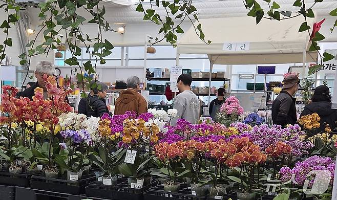 22일 낮 12시께 전북 전주시 완산구의 한 화훼단지에 방문객들이 모여 식물을 고르고 있다.2026.3.22/뉴스1 문채연 기자