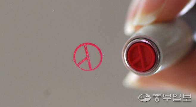 기사의 이해를 돕는 선거·투표 관련 이미지. 노민규기자