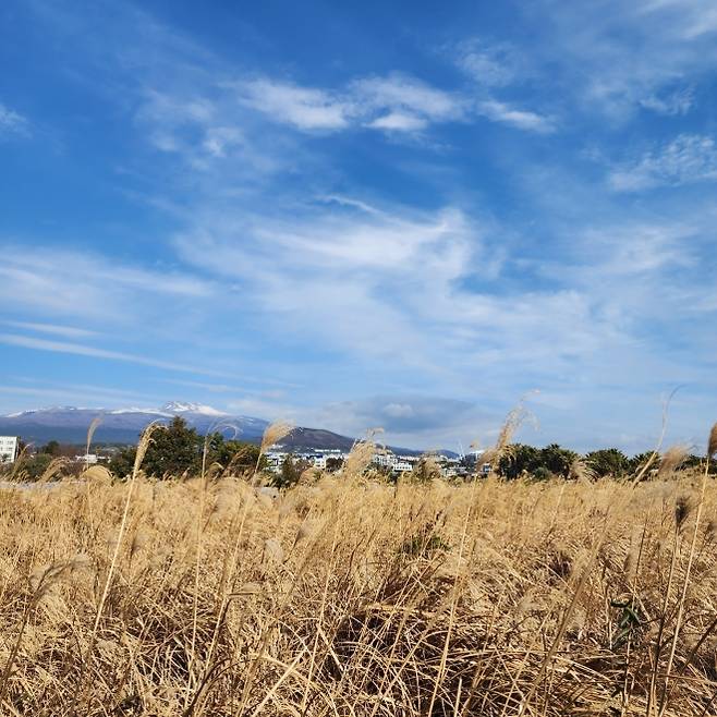 서건도에서 바라본 한라산
