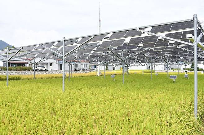 영농형태양광 모습.(뉴시스)