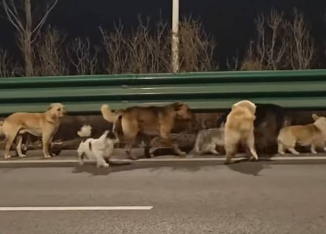 온라인 커뮤니티 캡처