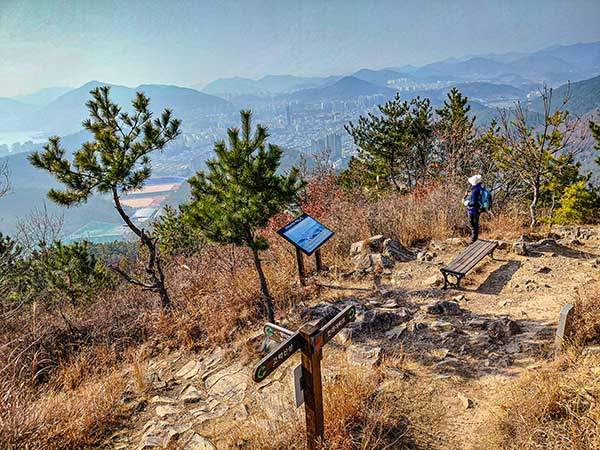 여수지맥의 줄기와 가막만이 보이는 고락산 정상.