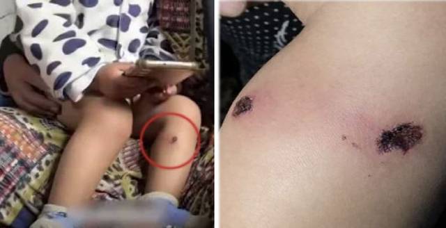 팔레스타인 TV, 알자지라 방송