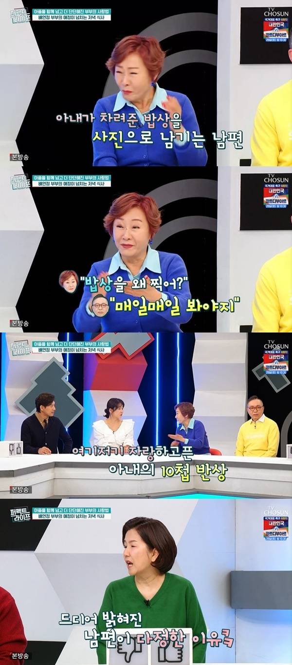 TV조선 ‘퍼펙트라이프’