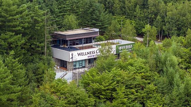 하이원리조트 웰니스센터 네이처힐링존 전경 ⓒ 강원랜드제공