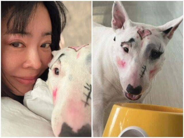 이혜영./소셜미디어