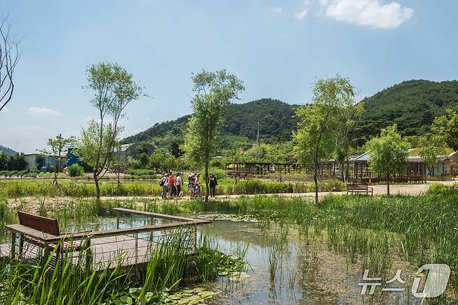 김해 화포천 습지.(김해시 제공. 재판매 및 DB금지)