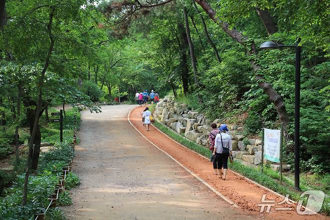 김해 분성산 생태숲 황톳길.(김해시 제공. 재판매 및 DB금지)