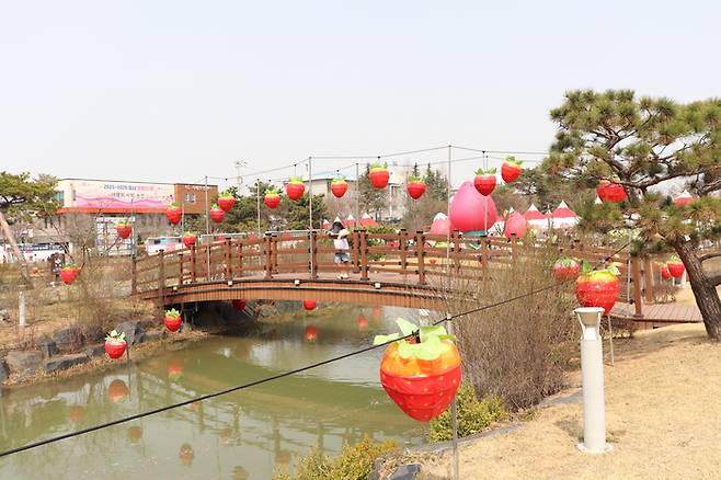 논산딸기축제 / 사진= 문서연 여행+ 기자