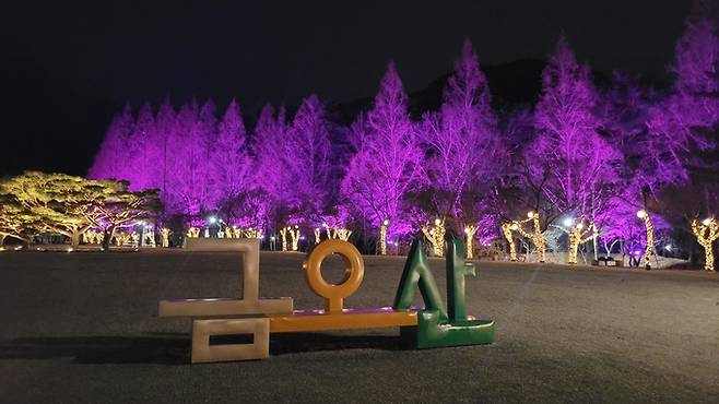 ▲ 금오산 잔디광장에서 바라본 연출된 조명의 메타세쿼이아길. 이봉한 기자
