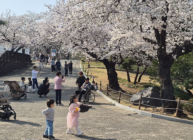 29일 오후 대구 중구 달성공원 일대가 벚꽃을 즐기려는 상춘객들로 북적이고 있다. 조윤화 기자