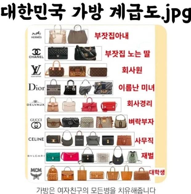 가격으로 줄 세우면서 브랜드 이미지를 추가한 여자 가방 계급도. 이런 콘텐츠는 온라인 편집숍이나 홍보업체, 유튜버 등이 시선을 끌려고 계속 제작해 유포한다. /인터넷 커뮤니티