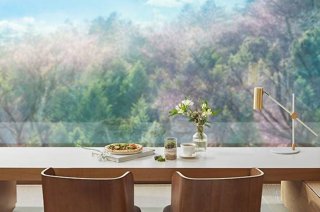 워커힐 ‘올 댓 스프링 패키지’ *재판매 및 DB 금지