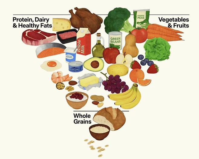트럼프 정부의 ‘미국인을 위한 식생활 지침’. 단백질, 유제품, 건강한 지방(맨 위 왼쪽)과 채소·과일(오른쪽)을 많이 먹으라고 권고했다. 통곡물은 맨 밑에 있다. /미 농무부