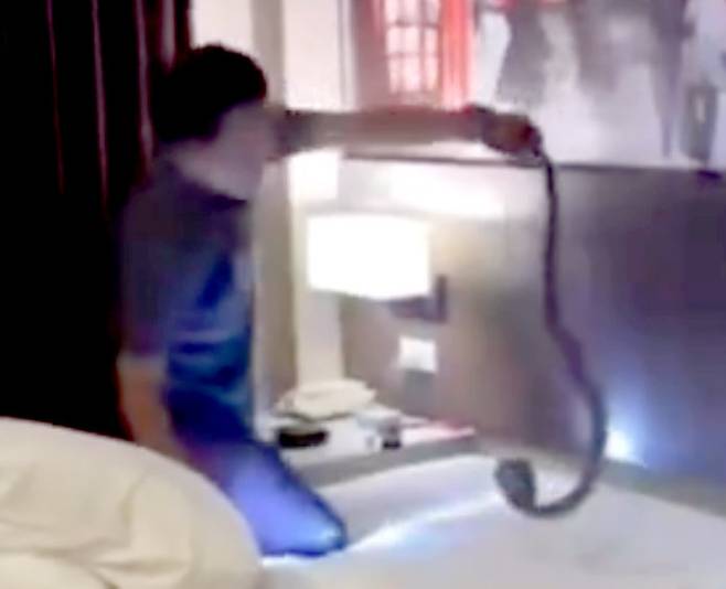 (출처=@pureguava10300 엑스(X) 계정)