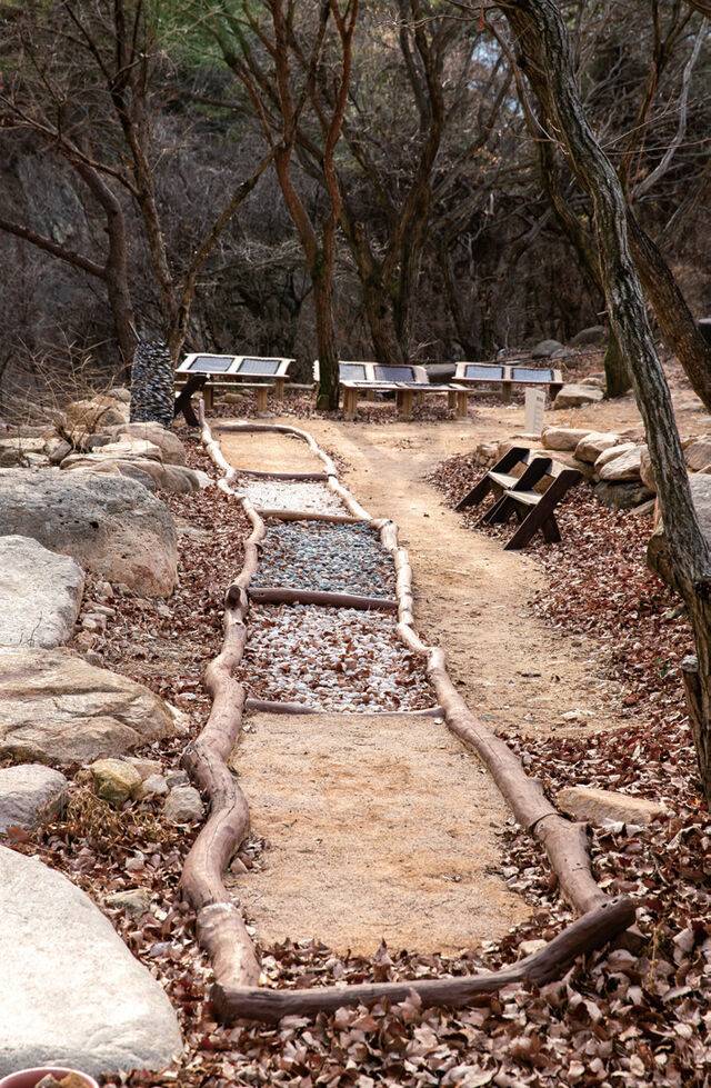 자연 안에서 ‘쉼’을 경험하는 숲속애의 치유농업 프로그램은 몸과 마음에 서서히 활력을 불어넣는다.