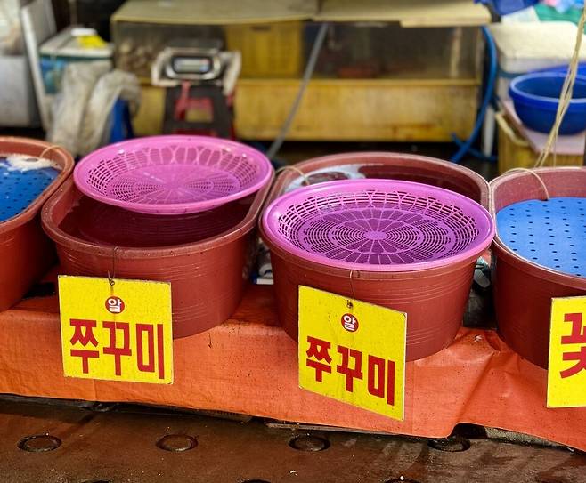 ▲ 30일 인천 남동구 소래포구 어시장에 주꾸미 물량이 부족해 대야가 비어 있다.