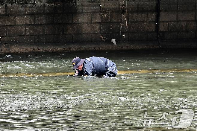 31일 오전 10시 30분쯤 "신천에 수상한 캐리어가 있다"는 신고를 접수한 경찰이 대구 북구 칠성동 잠수교 주변을 수색하고 있다. 경찰은 캐리어 안에서 여성 시신을 발견해 수사에 나섰다. (독자 제공. 재판매 및 DB 금지) 2026.3.31 ⓒ 뉴스1 공정식 기자
