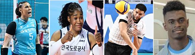 (왼쪽부터) GS칼텍스 실바. 도로공사 모마. 현대캐피탈 레오. 대한항공 마쏘