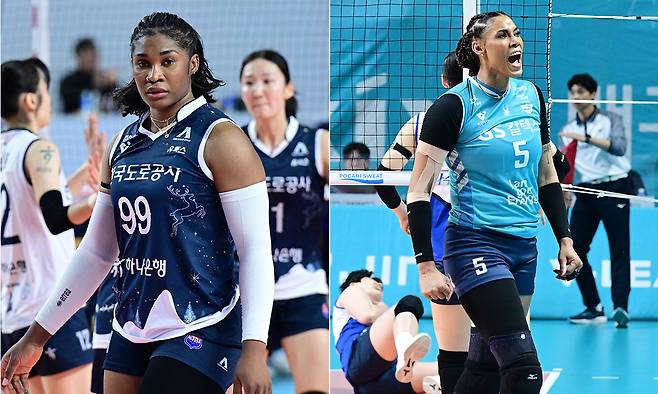 모마(왼쪽부터), 실바