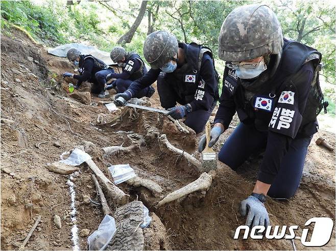 국방부유해발굴감식단 전문 발굴 인력이 지난 2019년 강원도 철원 비무장지대(DMZ) 화살머리고지 일대에서 유해를 수습하는 모습. 2019.11.28 ⓒ 뉴스1(국방부 제공)
