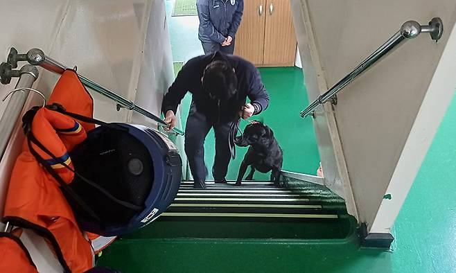 지난 3월 30일 강원 속초시 동명동 속초해양경찰서 함정 전용부두 일원에서 속초해경과 속초세관이 마약 탐지견 합동 훈련을 하고 있다. 속초해양경찰서 제공