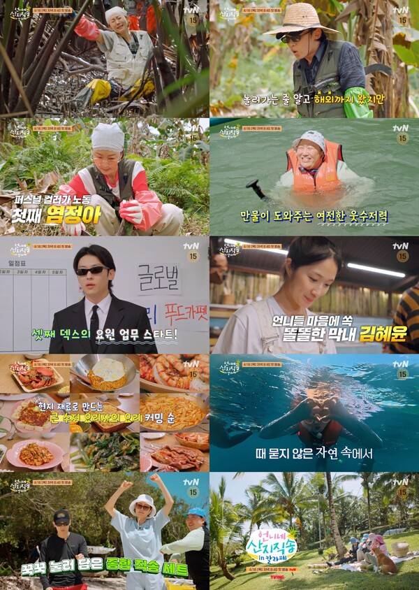 사진제공=tvN