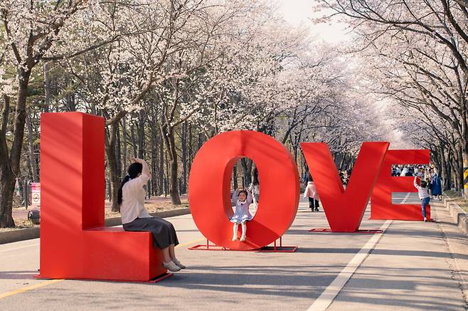 여주흥천남한강벚꽃축제. 사진=경기관광플랫폼.