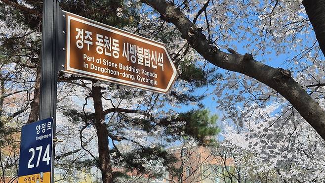 경주시 양정로 274 동천동 어린이공원 입구에 설치된 경주 동천동 사방불탑신석 안내 표지판. 벚꽃이 핀 공원 풍경 속에 통일신라 문화유산의 위치를 알리고 있다. 장성재기자 blowpaper@yeongnam.com