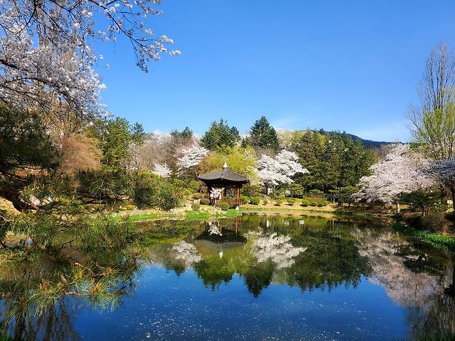 BTS ‘화양연화’ 시리즈 촬영지 보문정 모습./황성호 기자