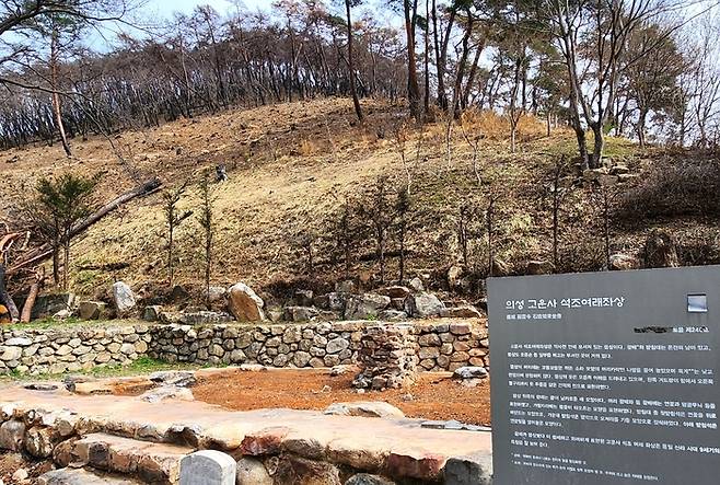 산불로 훼손된 고운사 사찰림 일대에 복원 안내판이 설치돼 있다.