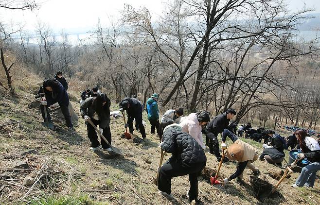 서울환경연합 회원과 시민들이 지난달 21일 서울 마포구 한강공원에서 열린 ‘제17회 온난화 식목일’ 행사에 참여해 나무를 심고 있다. 서울환경연합 제공