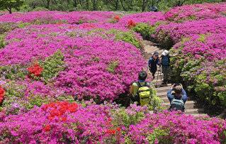 부산 부산진구 백양산 애진봉을 찾은 등산객들. 뉴스1