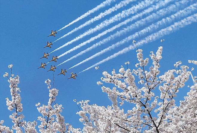 공군 특수 비행팀 ‘블랙이글스’가 5일 벚꽃이 활짝 핀 서울 영등포구 여의도 상공을 날고 있다. ‘2026 영등포 여의도 봄꽃축제’를 축하하기 위해 다양한 곡예 비행을 선보였다. 지난 3일 개막한 축제는 7일까지 이어진다. 작년에는 5일간 303만명이 찾았다. /고운호 기자