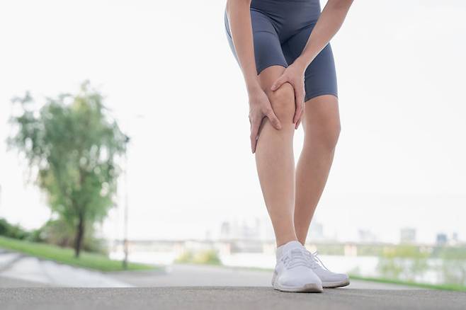 사진=게티이미지뱅크.