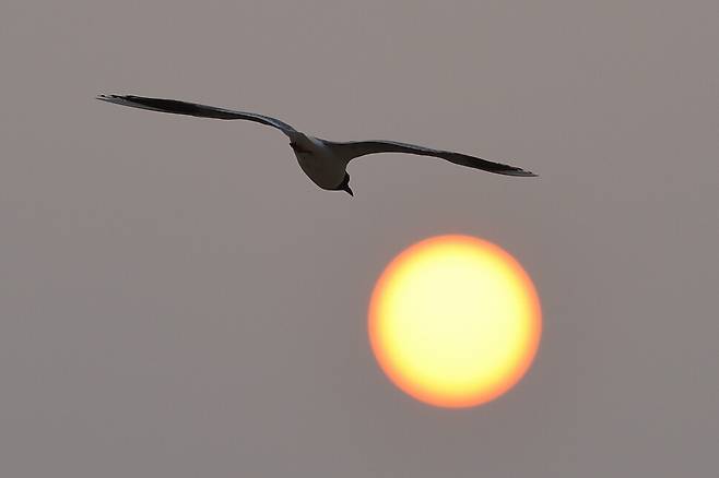 석양은 끝이 아니라, 내일을 기약하는 상징으로 다가온다.