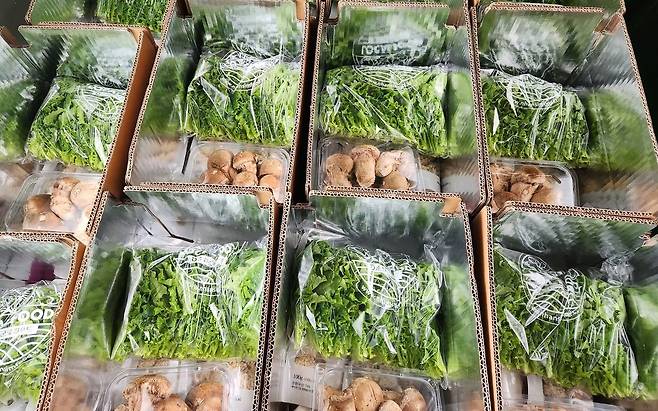 상추, 버섯 등 농촌에서 생산한 식재료들이 택배 상자에 담겨 있다. 전북 순창 구준회씨 제공