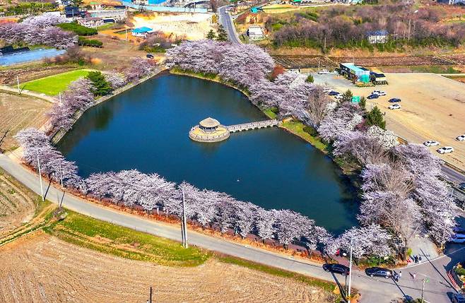 면천 골정지 모습(사진=당진시 제공)