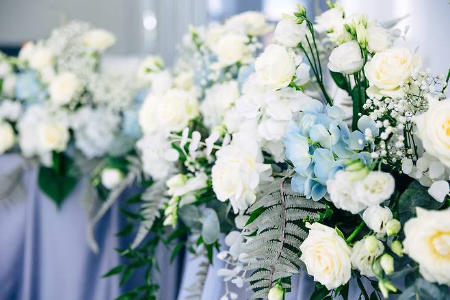 게티이미지뱅크