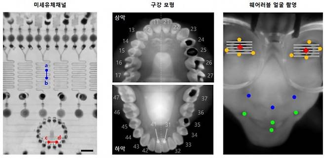 초박형 카메라로 다양한 거리의 대상을 촬영한 결과. 왼쪽부터 20mm 거리의 미세유체 채널, 30mm 거리의 구강 모형, 50mm 거리의 얼굴이다. 가까운 거리에서도 넓은 영역을 한 번에 선명하게 담아, 의료용 내시경 등에 활용할 수 있는 가능성을 보여준다. KAIST 제공